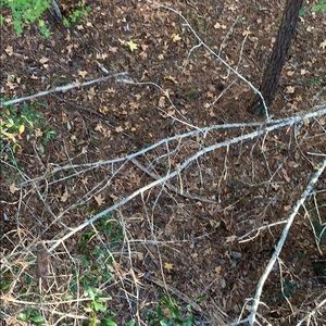 Meet your Posher, Heath